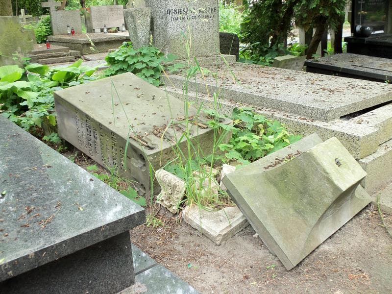 Zdjęcie grobu Rozalja Burzyńska (1)