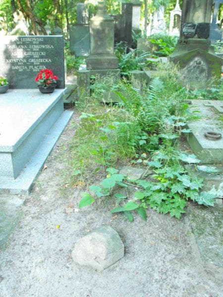 Zdjęcie grobu: Kazimierz Szczygielski