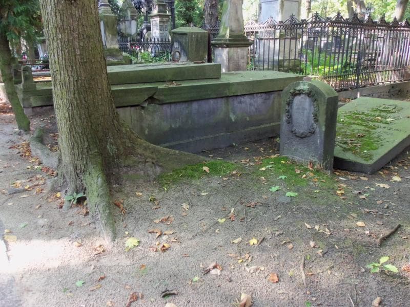 Zdjęcie grobu Rozalia Jankowska (1)