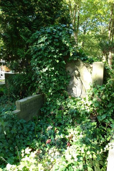 Zdjęcie grobu Albin Krzysztof Pietras-Kiesiacki (2)