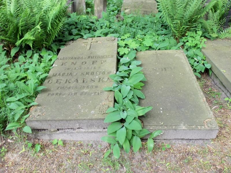 Zdjęcie grobu Maryanna Knoff (2)