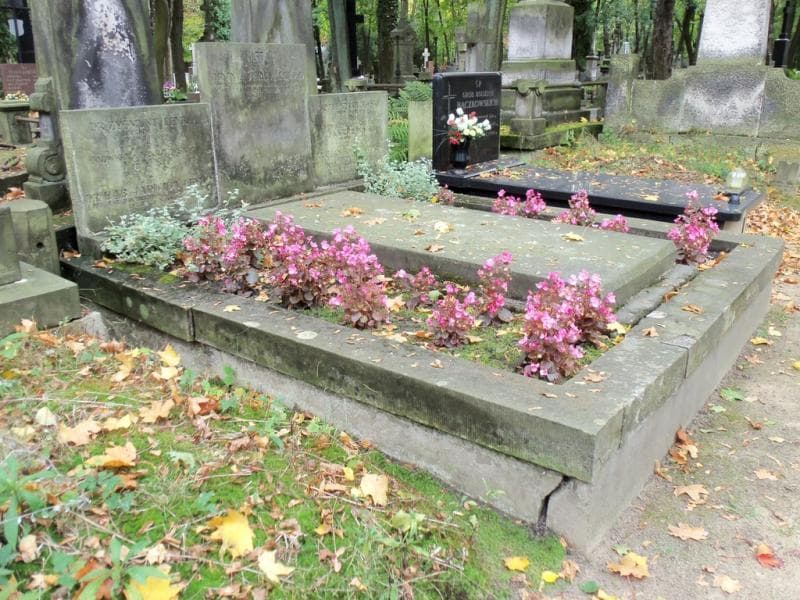 Zdjęcie grobu Zofia Kwiatkowska (1)