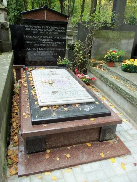 Zdjęcie grobu: Teresa Kryńska