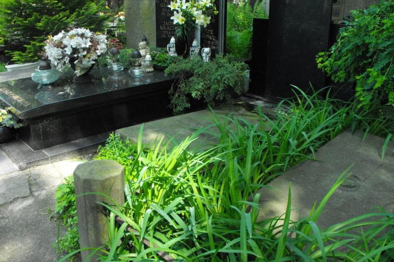 Zdjęcie grobu Juljan Królikowski (1)