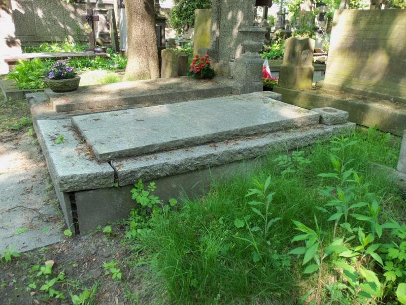 Zdjęcie grobu Anna Banaczkowska (1)
