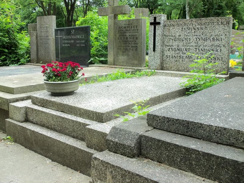 Zdjęcie grobu Stanisława Tymińska (1)