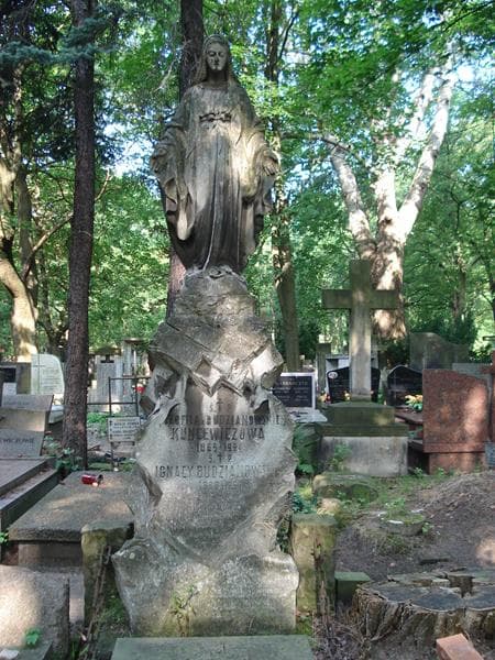 Zdjęcie grobu Ignacy Budzianowski (2)
