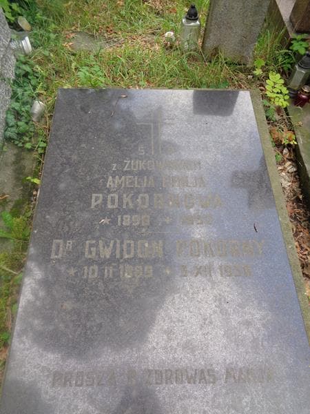 Zdjęcie grobu Gwidon Pokorny (2)