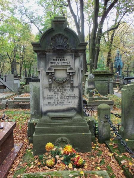 Zdjęcie grobu Elżbieta Wolkiewicz (2)