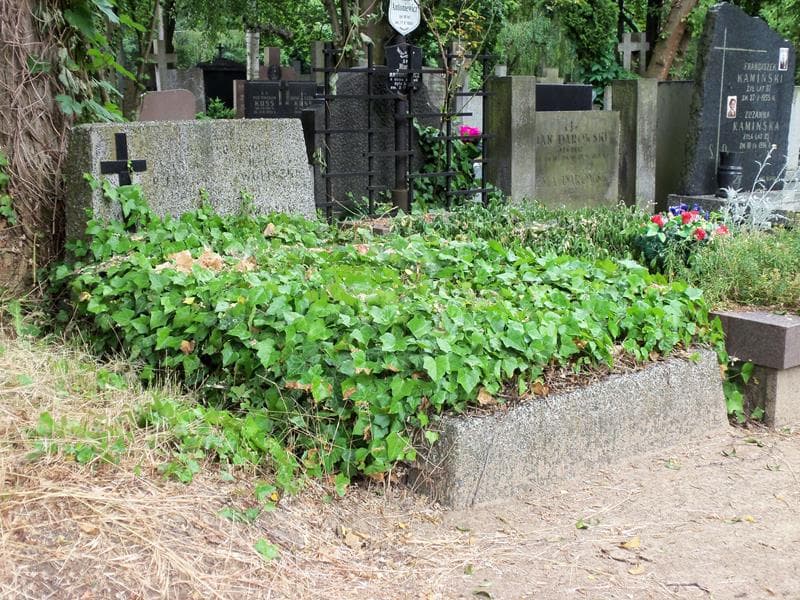 Zdjęcie grobu Franciszek Burski (1)