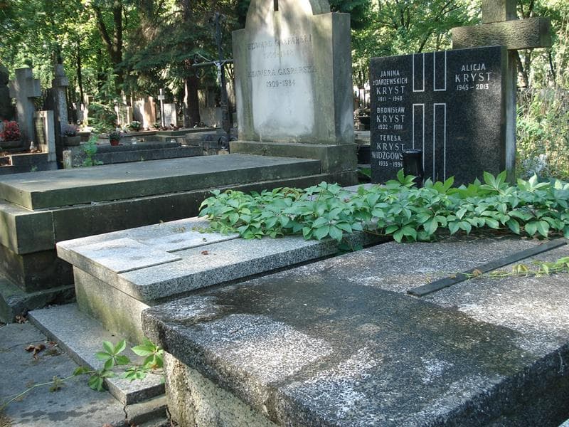 Zdjęcie grobu Janina Kryst (1)