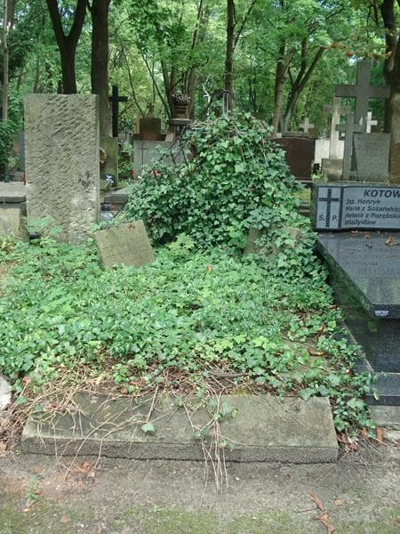 Zdjęcie grobu: Teofila Tokarska