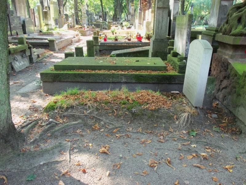 Zdjęcie grobu Natalja Sienicka (1)