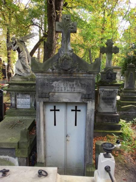 Zdjęcie grobu: Maurycy Markusfeld