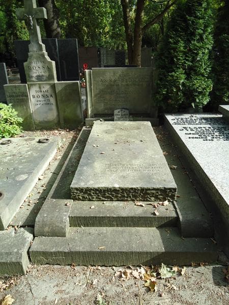 Zdjęcie grobu: Anna Bejnar