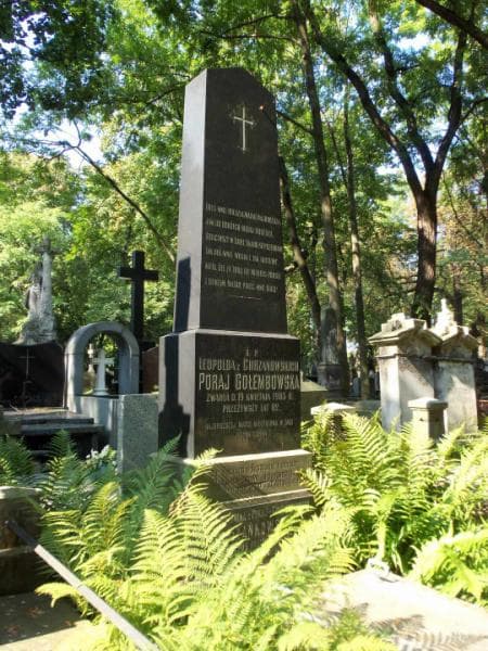 Zdjęcie grobu Antonina Szańkowska (2)