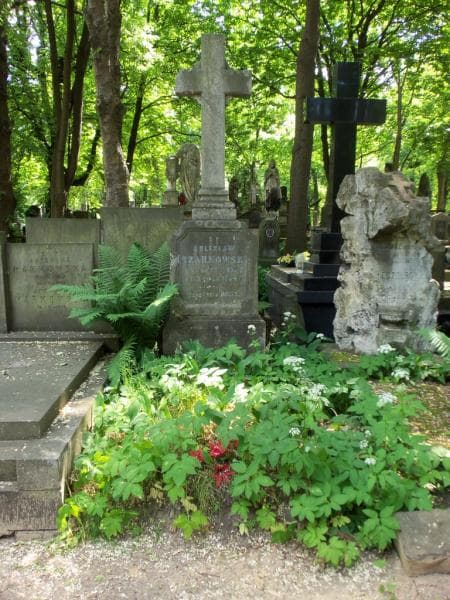 Zdjęcie grobu: Bronisław Czarkowski