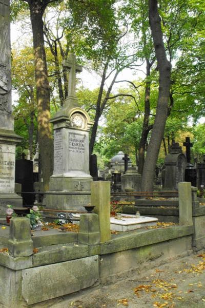 Zdjęcie grobu Stanisław Deskur (1)