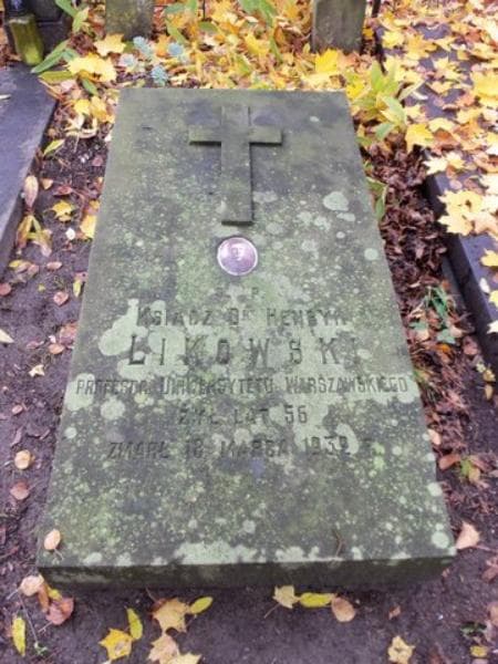 Zdjęcie grobu Henryk Likowski (1)