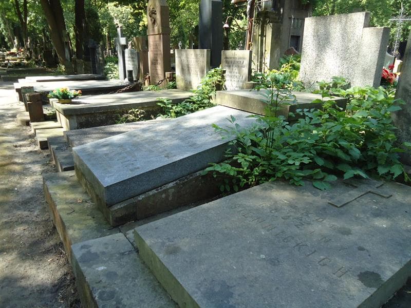 Zdjęcie grobu Stanisław Dobrowolski (1)