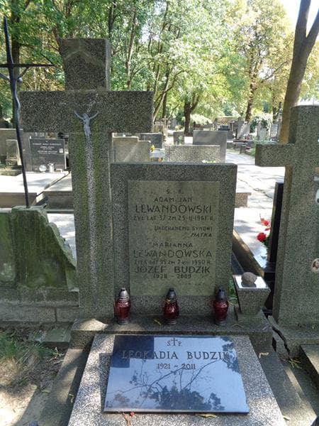 Zdjęcie grobu Józef Budzik (2)