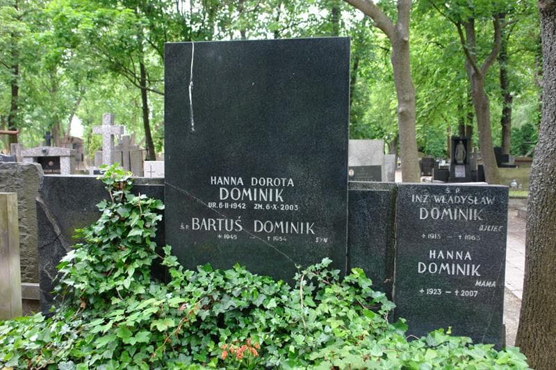 Zdjęcie grobu Władysław Dominik (2)