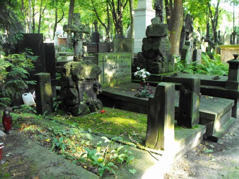 Zdjęcie grobu Eustachy Rudnicki (1)