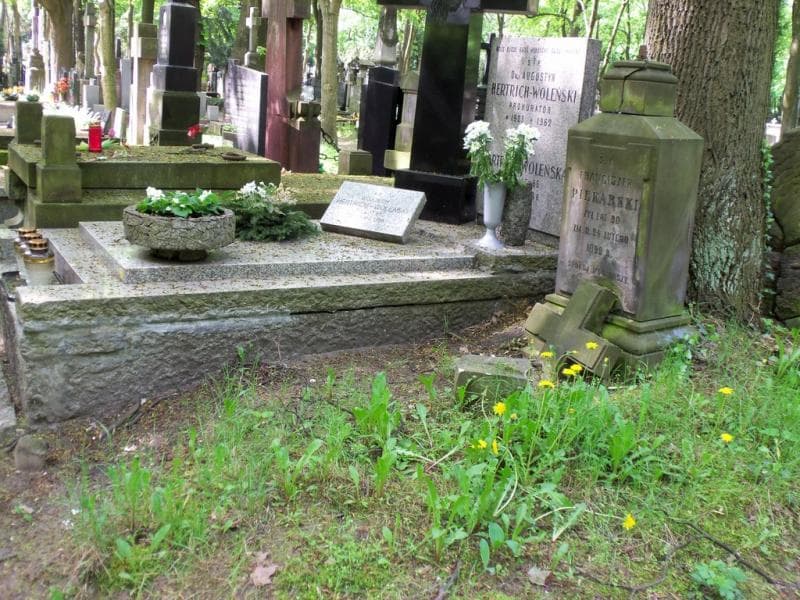 Zdjęcie grobu Franciszek Piekarski (1)