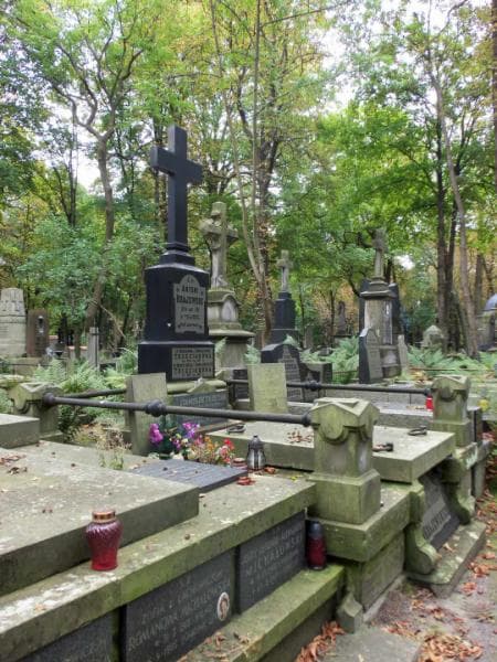 Zdjęcie grobu Eugenia Strzelecka (1)