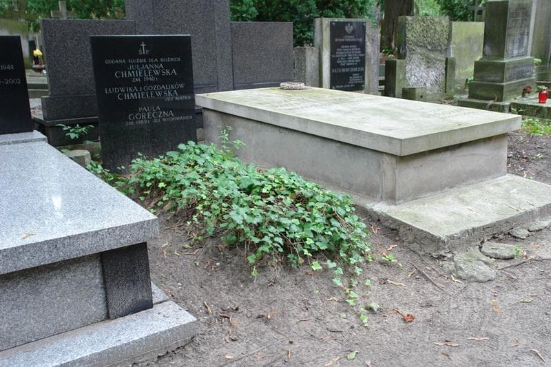 Zdjęcie grobu Paulina Góreczna (1)