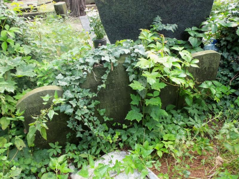 Zdjęcie grobu: Józef Fiszer