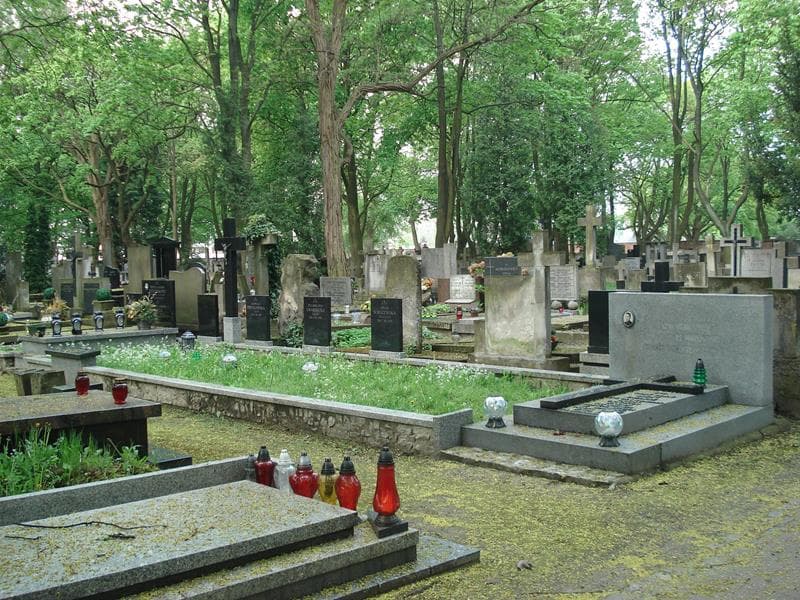 Zdjęcie grobu: Stefania Abramczuk