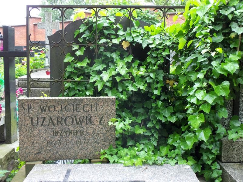 Zdjęcie grobu Ludwik Uzarowicz (2)