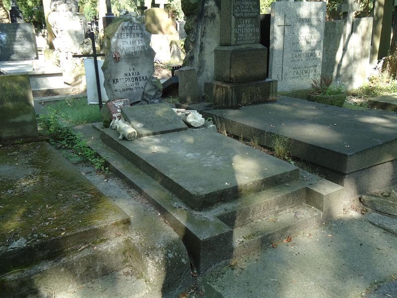 Zdjęcie grobu Maria Krzepkowska (1)
