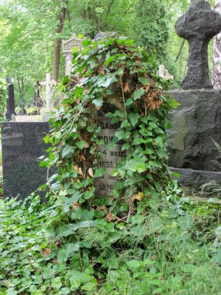 Zdjęcie grobu Aleksander Klonowski (2)