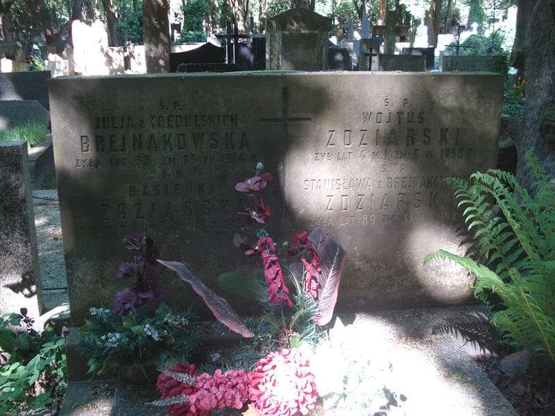 Zdjęcie grobu Julja Brejnakowska (1)