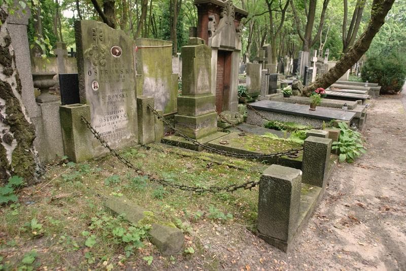 Zdjęcie grobu: Franciszka Ostrowska