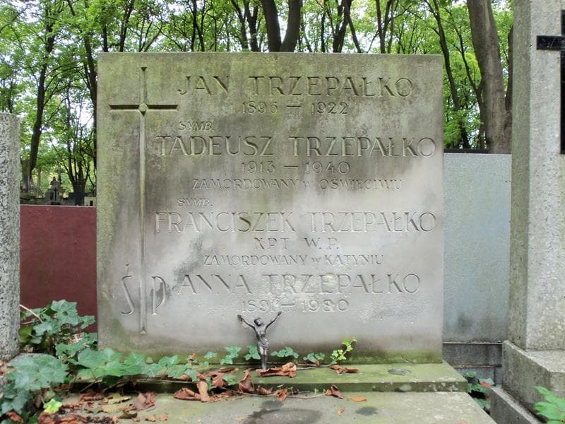 Zdjęcie grobu Jan Trzepałko (2)