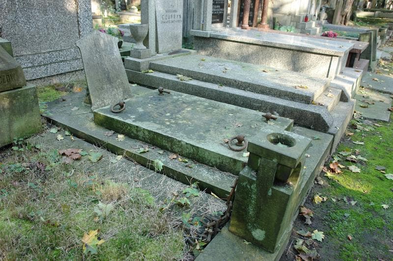 Zdjęcie grobu: Franciszek Goździk