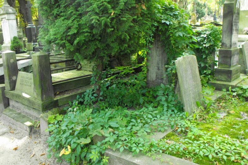 Zdjęcie grobu Józef Dorodziński (1)