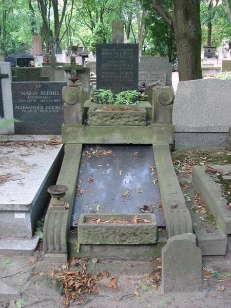 Zdjęcie grobu Bronisława Brzoskiewicz (1)