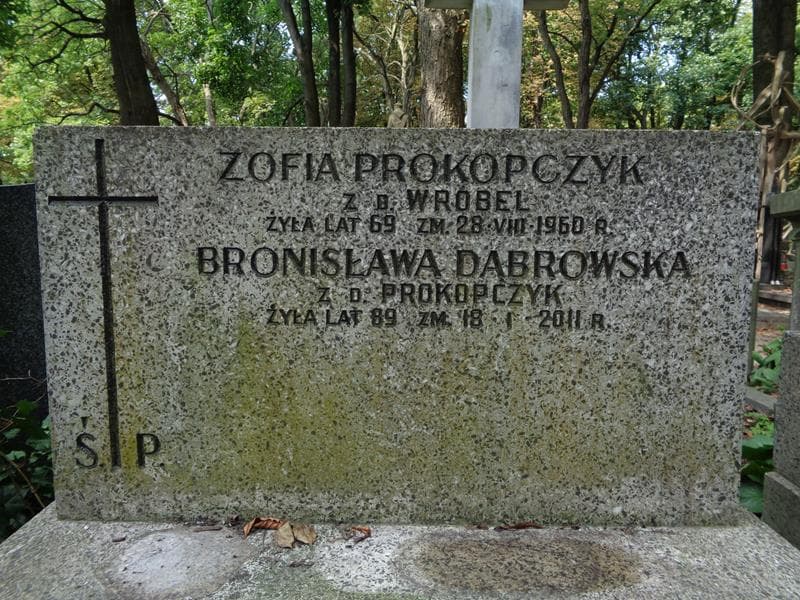 Zdjęcie grobu Stanisława Dąbrowska (2)