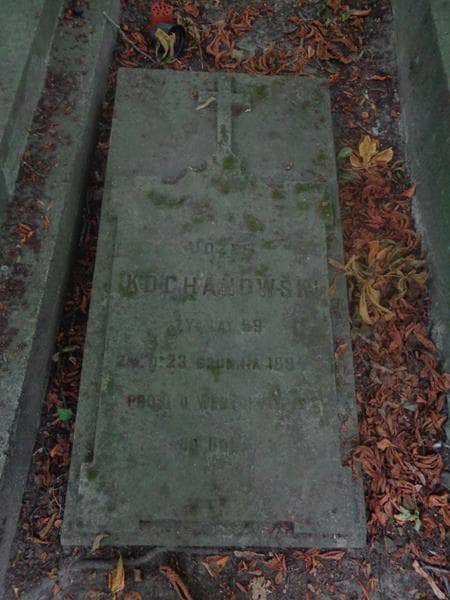 Zdjęcie grobu Józef Kochanowski (2)