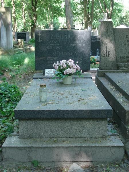 Zdjęcie grobu: Janusz Zdzienicki