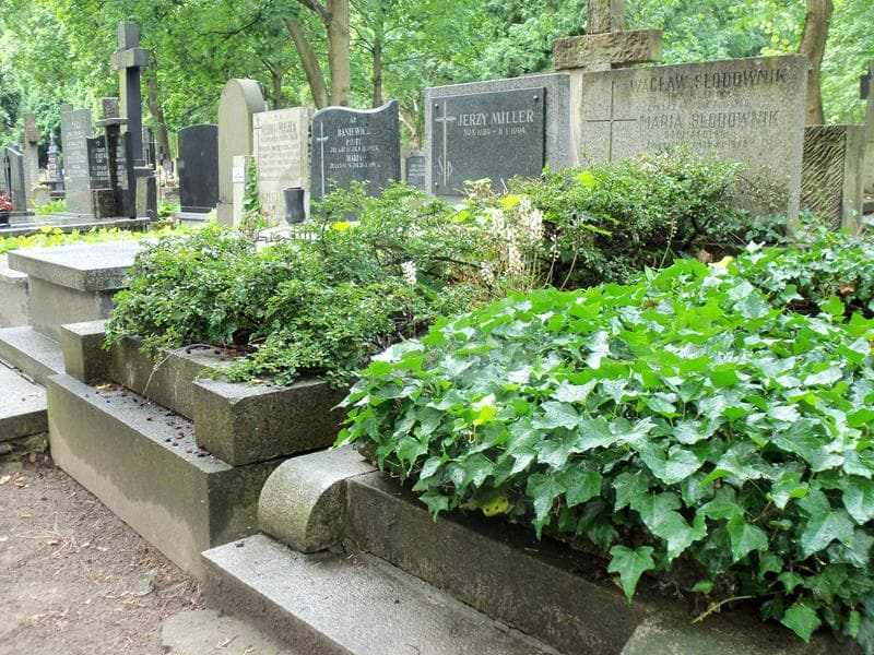 Zdjęcie grobu Maria Słodownik (1)