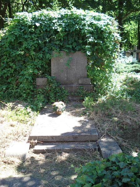 Zdjęcie grobu: Hanna Dziewińska