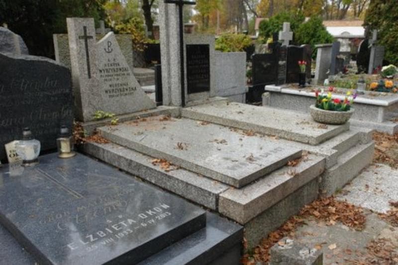 Zdjęcie grobu Henryk Wyrzykowski (1)