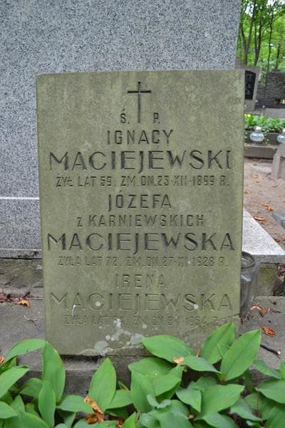 Zdjęcie grobu Józefa Maciejewska (2)