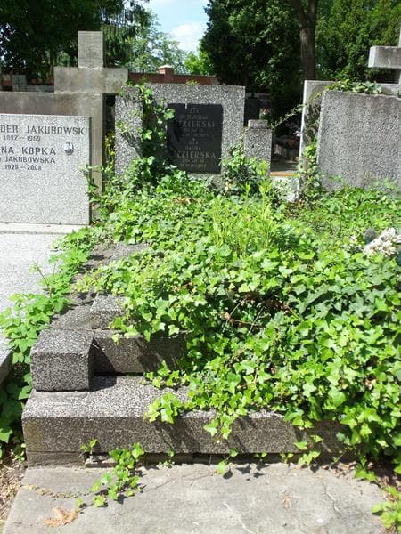Zdjęcie grobu: Stanisław Jezierski
