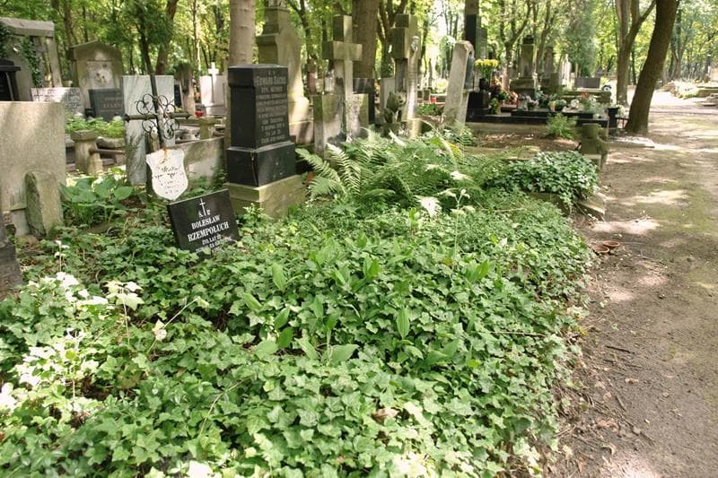Zdjęcie grobu: Bolesław Rzempołuch (rzempołuw)